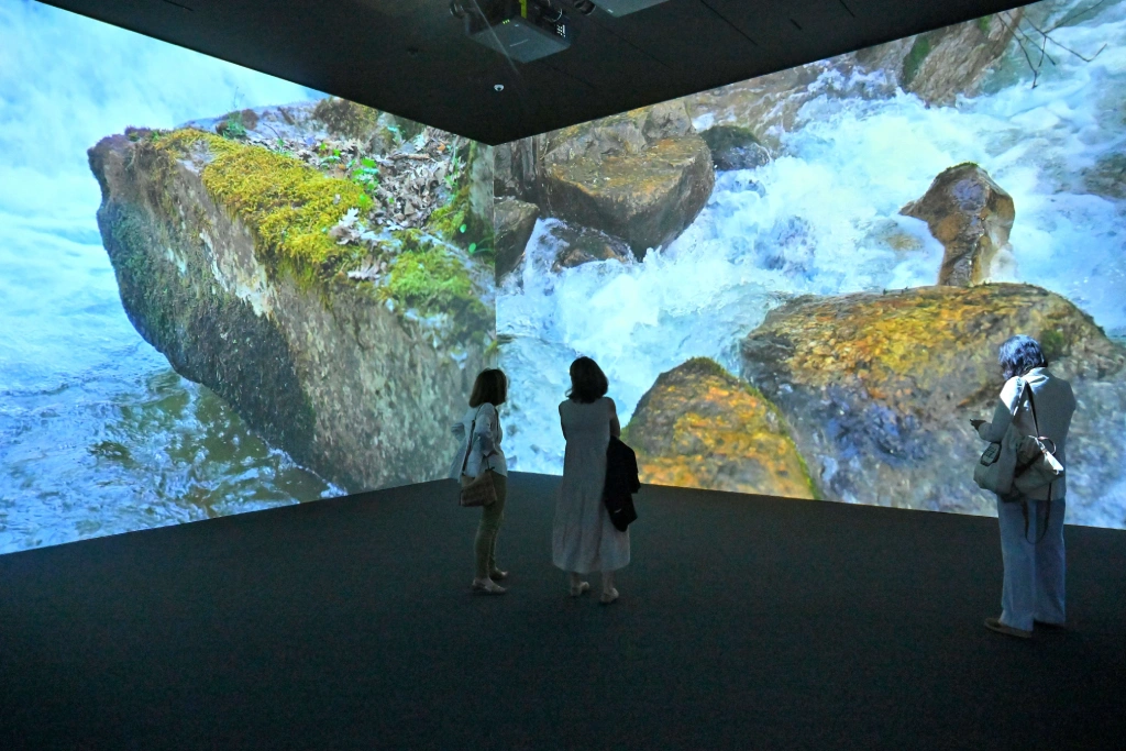 Proiezione di videomapping nel cubo immersivo della galleria delle collezioni reali